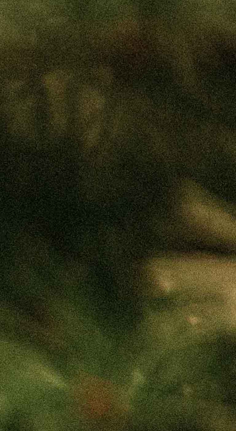 Evergreen Blurred Holiday Background