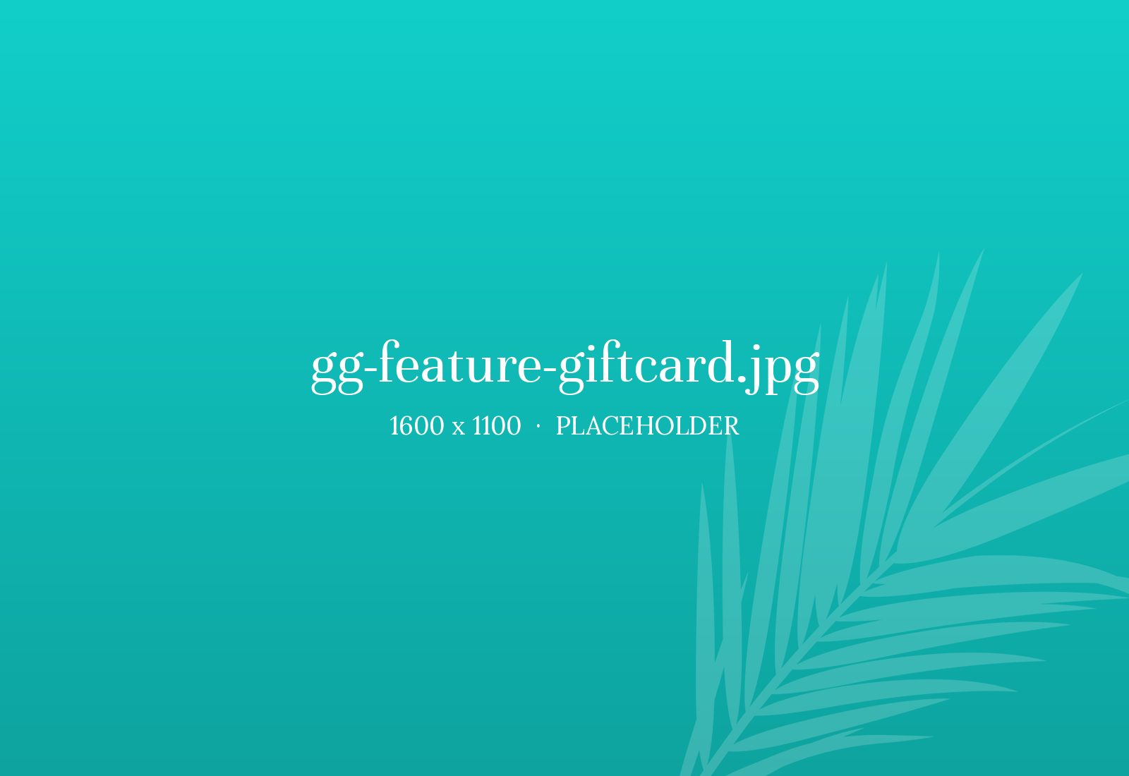 Landing Company gift card