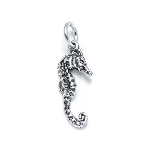 Bali Seahorse Charm