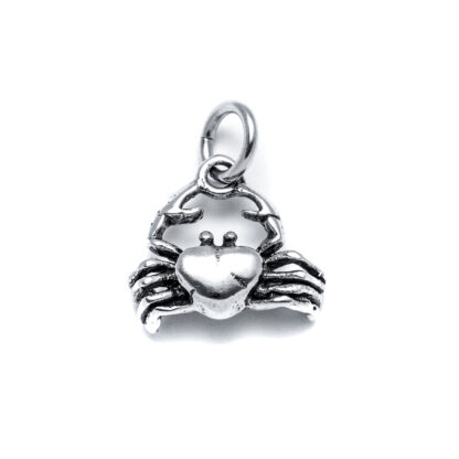 Nautical Crab Charm