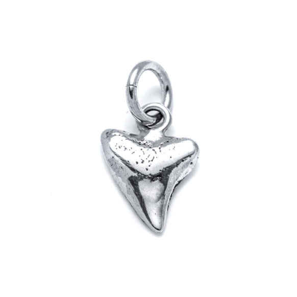 Shark Tooth Charm