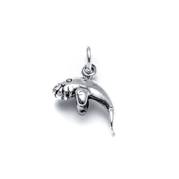 Springs Manatee Charm