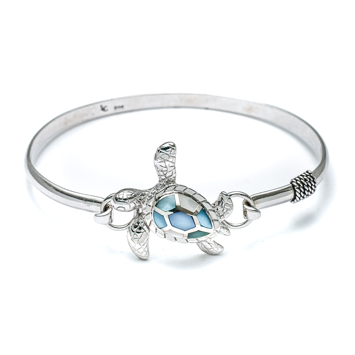Alex And Ani Women's Charity By Design Sea Turtle ROG Bracelet, Shiny ...