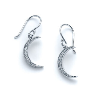 Starry Night Crescent Moon Earrings