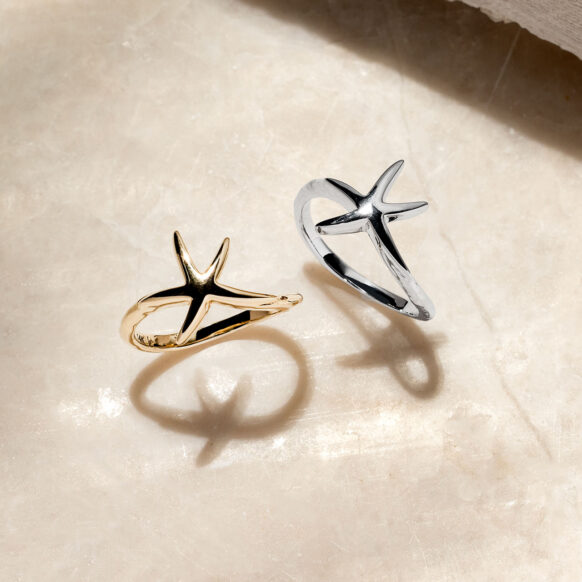 Vinoy Starfish Rings on Stone